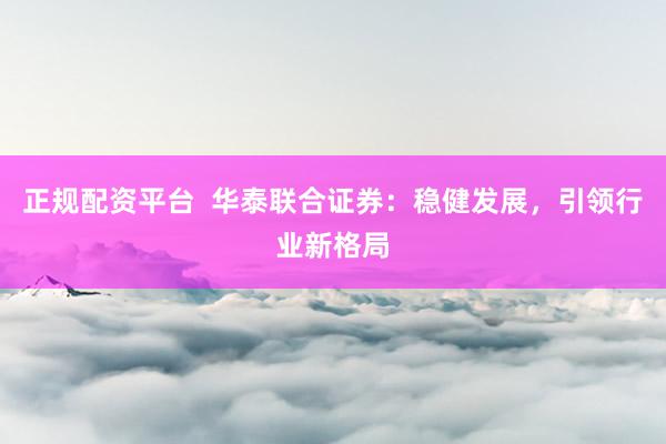 正规配资平台  华泰联合证券：稳健发展，引领行业新格局