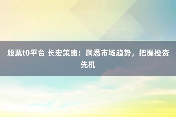 股票t0平台 长宏策略：洞悉市场趋势，把握投资先机
