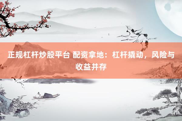 正规杠杆炒股平台 配资拿地：杠杆撬动，风险与收益并存