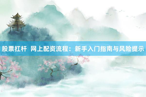 股票扛杆  网上配资流程：新手入门指南与风险提示
