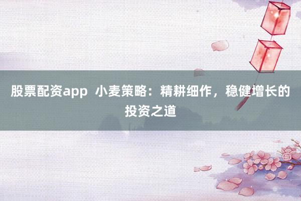 股票配资app  小麦策略：精耕细作，稳健增长的投资之道