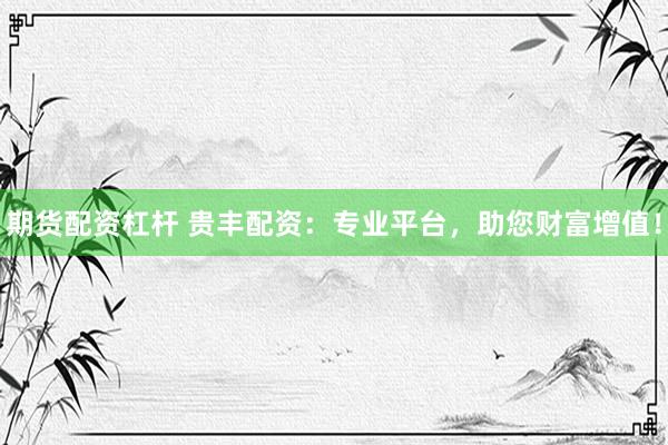 期货配资杠杆 贵丰配资：专业平台，助您财富增值！