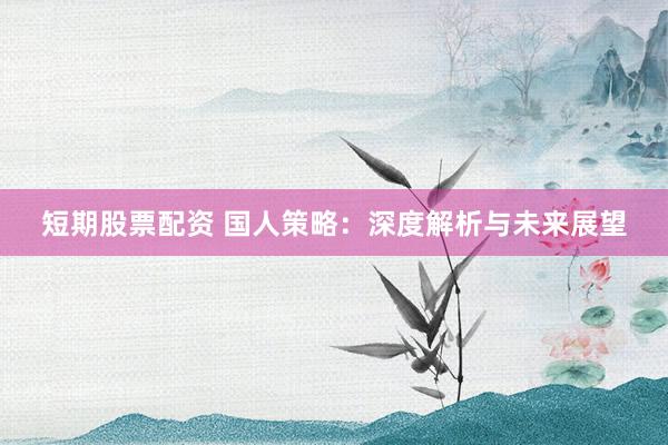 短期股票配资 国人策略：深度解析与未来展望