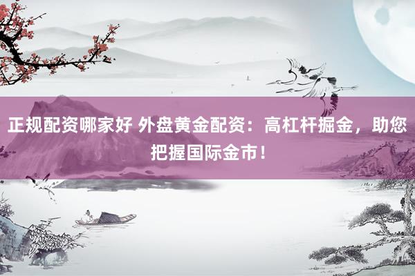 正规配资哪家好 外盘黄金配资：高杠杆掘金，助您把握国际金市！