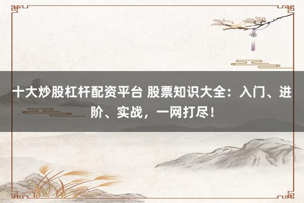 十大炒股杠杆配资平台 股票知识大全：入门、进阶、实战，一网打尽！