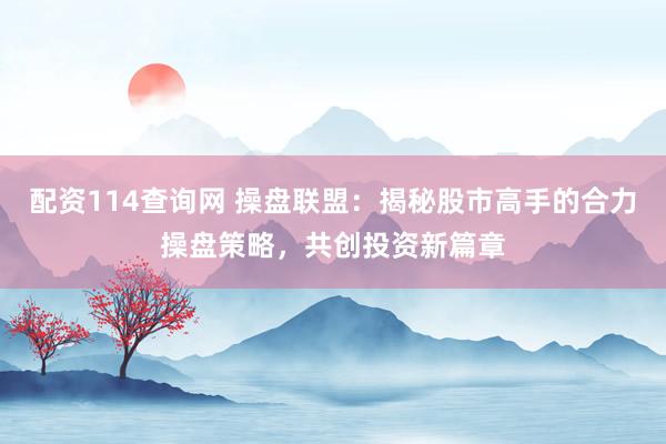 配资114查询网 操盘联盟：揭秘股市高手的合力操盘策略，共创投资新篇章