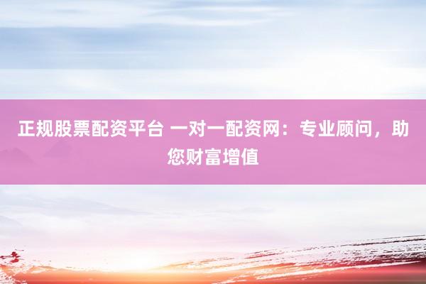 正规股票配资平台 一对一配资网：专业顾问，助您财富增值