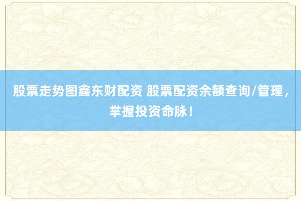 股票走势图鑫东财配资 股票配资余额查询/管理，掌握投资命脉！