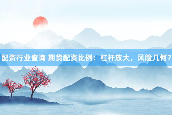 配资行业查询 期货配资比例：杠杆放大，风险几何？