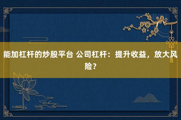 能加杠杆的炒股平台 公司杠杆：提升收益，放大风险？