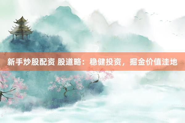 新手炒股配资 股道略：稳健投资，掘金价值洼地