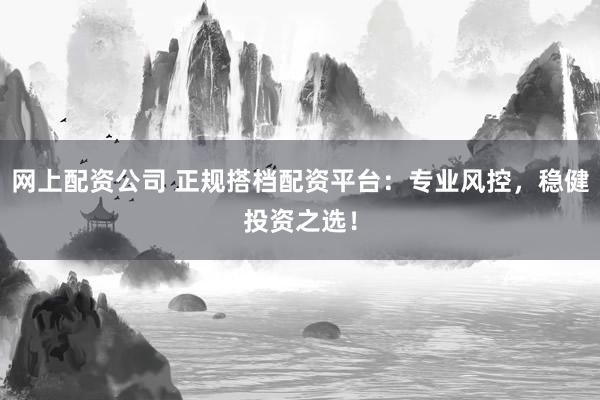 网上配资公司 正规搭档配资平台:专业风控,稳健投资之选!