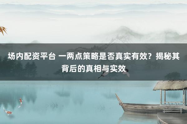 场内配资平台 一两点策略是否真实有效?揭秘其背后的真相与实效