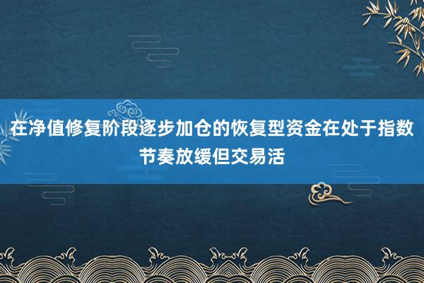 在净值修复阶段逐步加仓的恢复型资金在处于指数节奏放缓但交易活