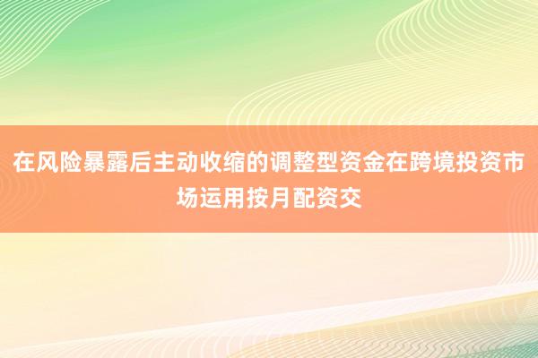 在风险暴露后主动收缩的调整型资金在跨境投资市场运用按月配资交