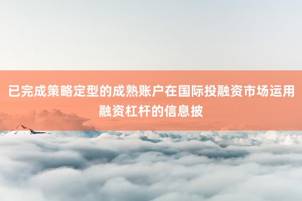 已完成策略定型的成熟账户在国际投融资市场运用融资杠杆的信息披