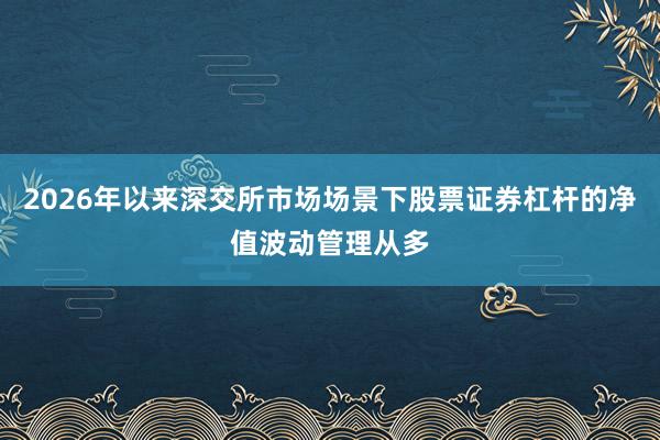 2026年以来深交所市场场景下股票证券杠杆的净值波动管理从多