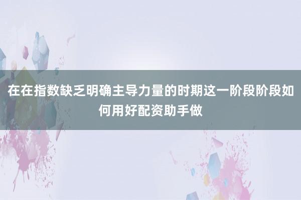 在在指数缺乏明确主导力量的时期这一阶段阶段如何用好配资助手做