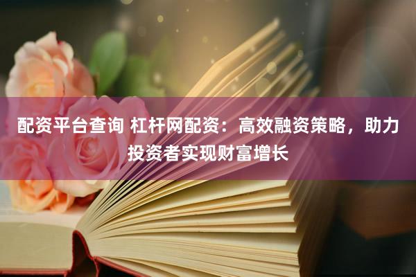 配资平台查询 杠杆网配资：高效融资策略，助力投资者实现财富增长