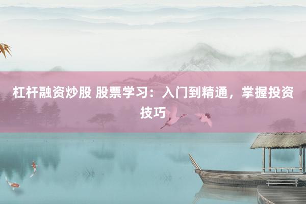 杠杆融资炒股 股票学习：入门到精通，掌握投资技巧