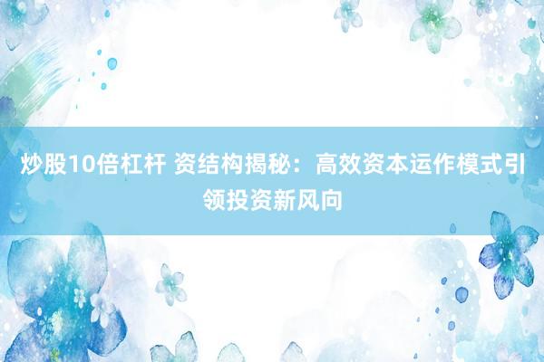 炒股10倍杠杆 资结构揭秘:高效资本运作模式引领投资新风向